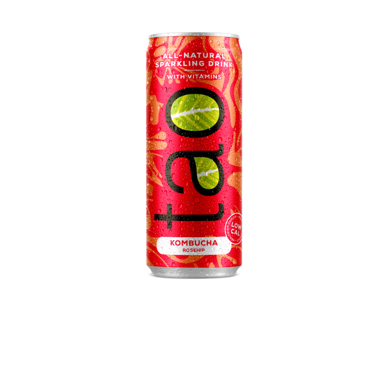 TAO kombucha fruité pétillant vitaminé 25cl       (Bte: 24 unités)