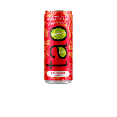TAO kombucha fruité pétillant vitaminé 25cl       (Bte: 24 unités)