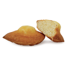 Madeleine classique sachet fraîcheur 1pc 25grs (Bte : 120pcs)